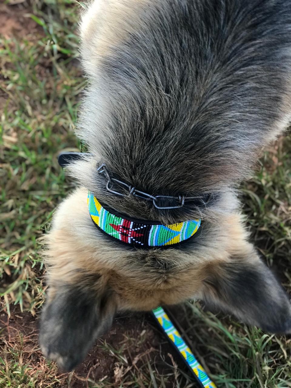 Beaded Leather Dog Collar